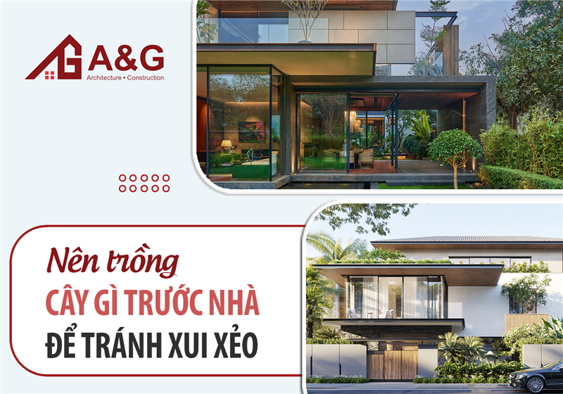 Nên trồng cây gì trước nhà để tránh xui xẻo